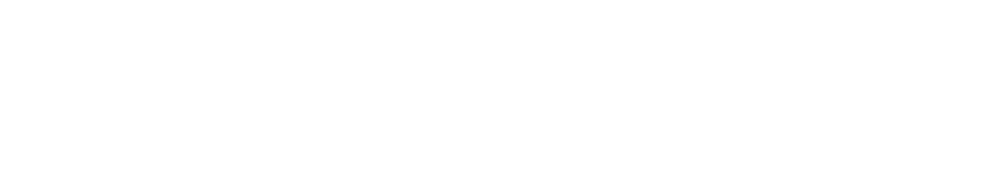 Desh Unnayan Ltd logo